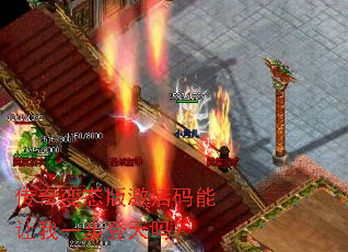 ̬漤һ